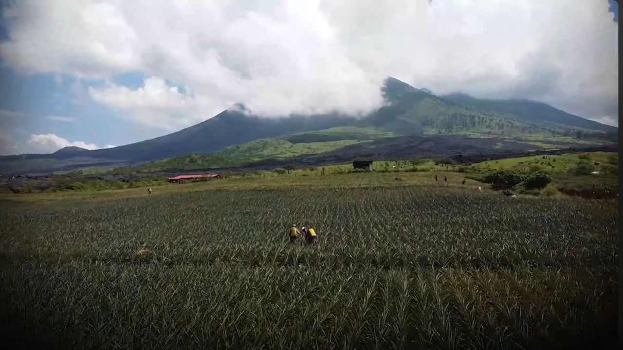 聽見馬雅高地